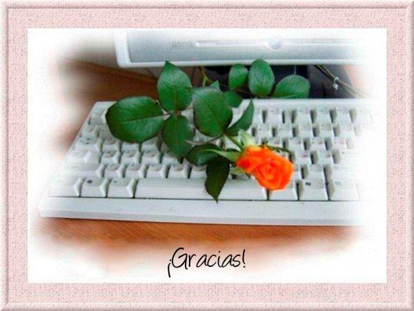 роза на клавиатуре