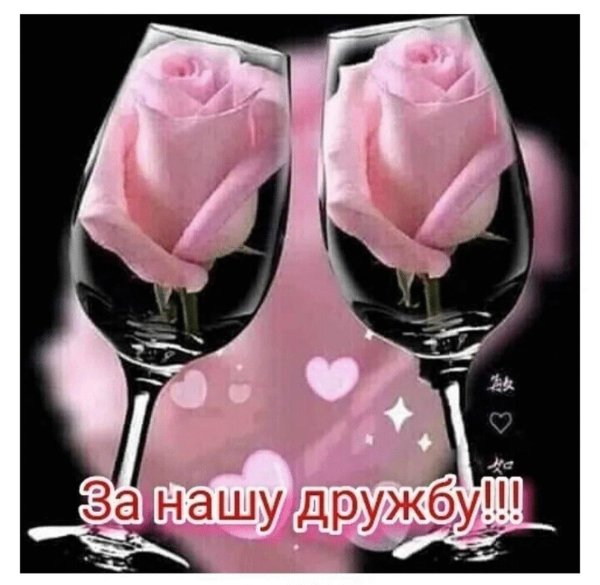 тост за дружбу