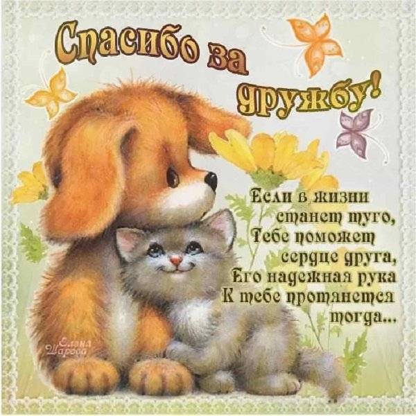 другу открытка