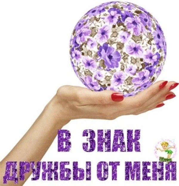 наша дружба