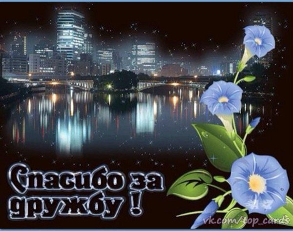 ипомея небесно голубая