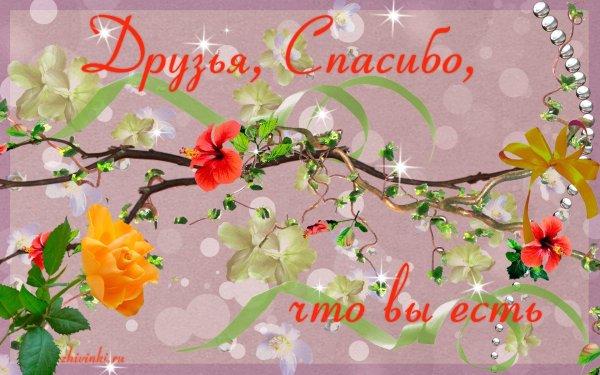 красивая открытка спасибо