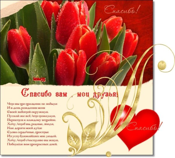 друзья спасибо