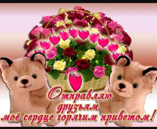 моему другу