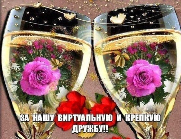 выпьем за дружбу
