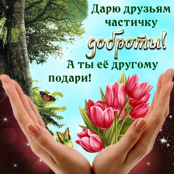 дарю частичку доброты