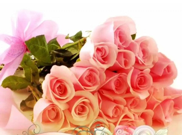 букет розовые розы