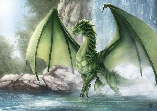 зеленые драконы