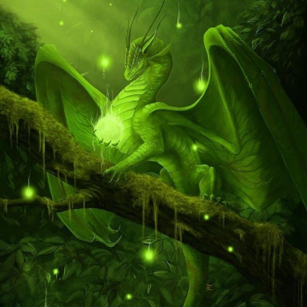 изумрудные драконы