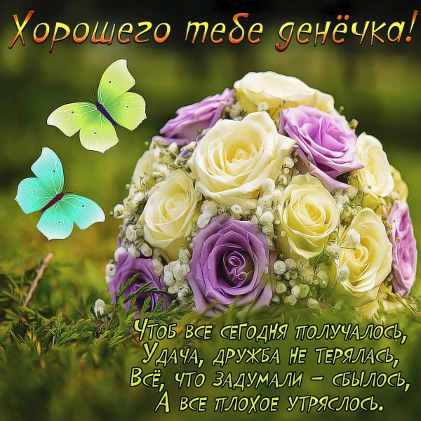 красивая букет