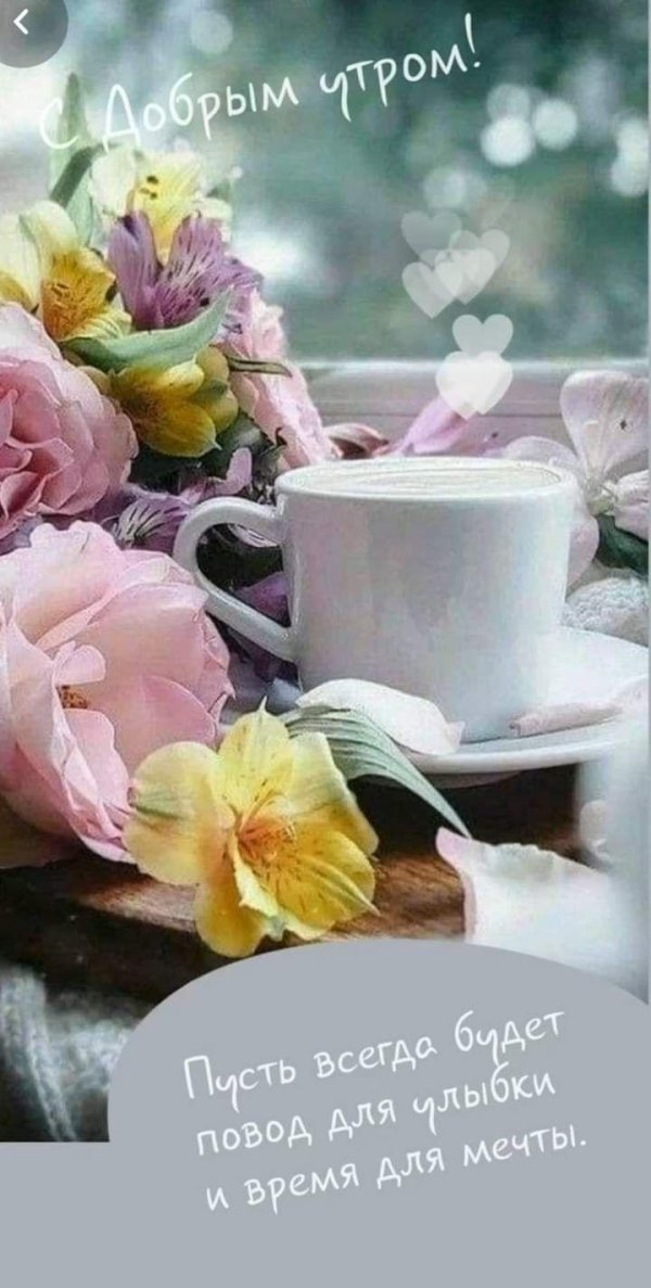 цветы в чашке