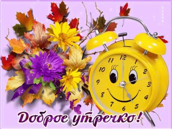 доброе утро здравствуй новый день