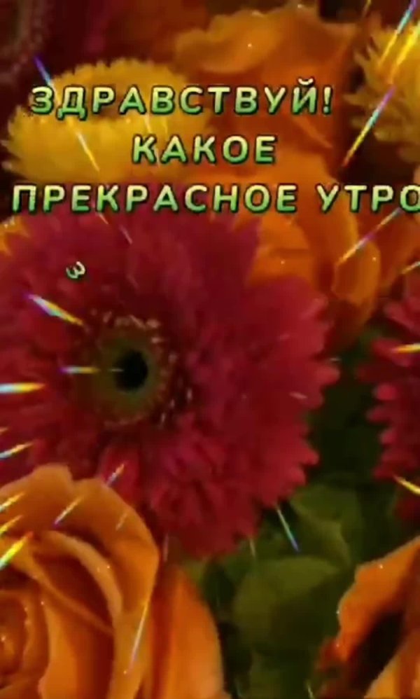 здравствуй новый день