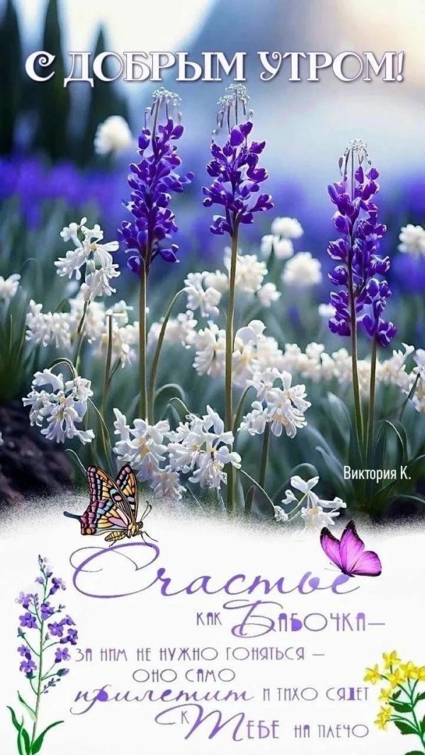 утро открытки доброе