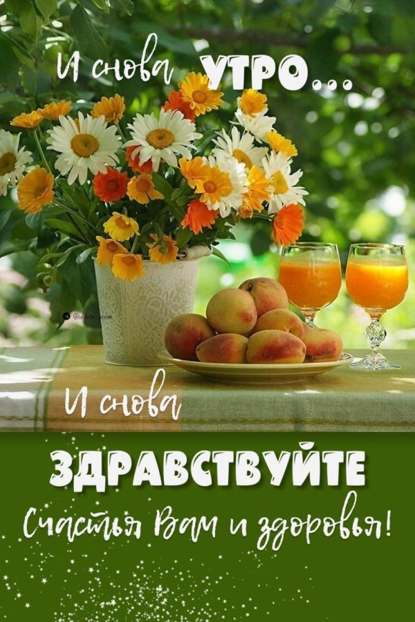 доброе летнее солнечное утро