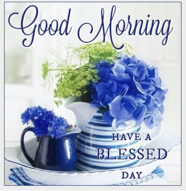 cиний цветок