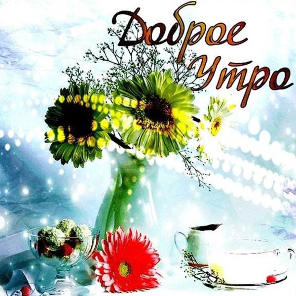 поздравление с добрым летним утром
