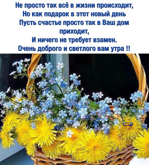 здравствуй новый день