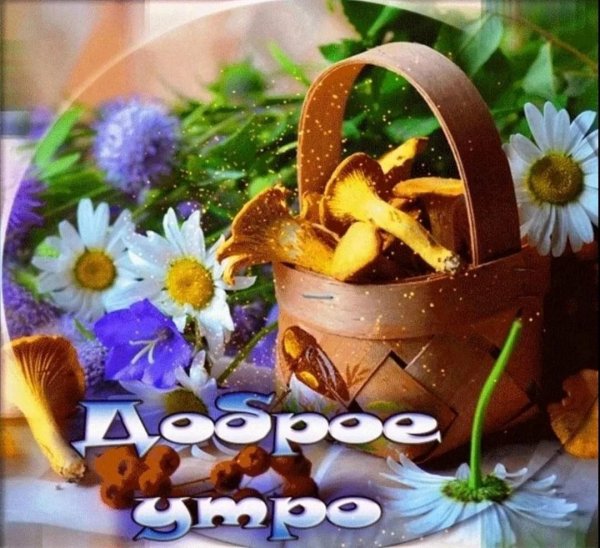 доброе августовское утречко