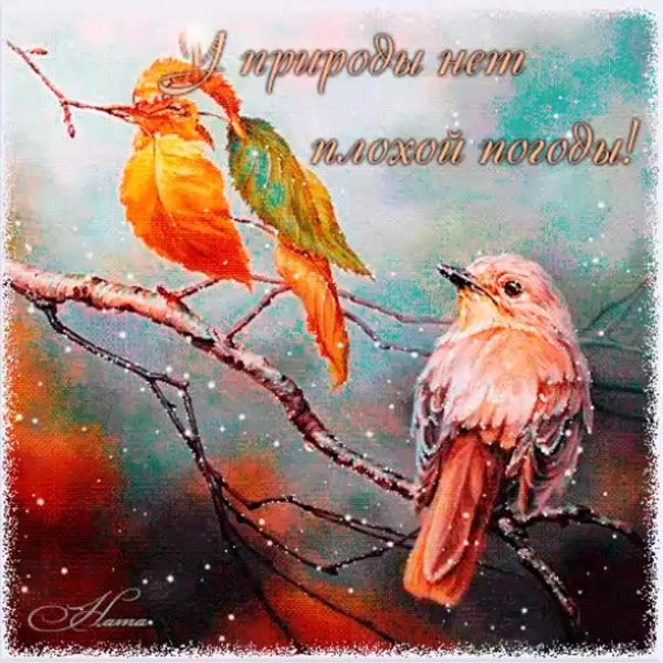 осенние птицы