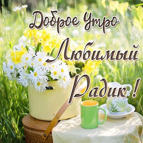 красивые поздравления с добрым утром природа