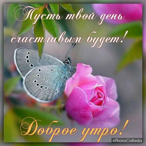 здравствуй новый день