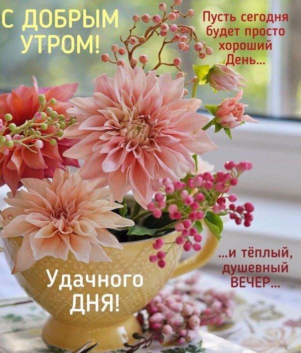 утро хорошего дня