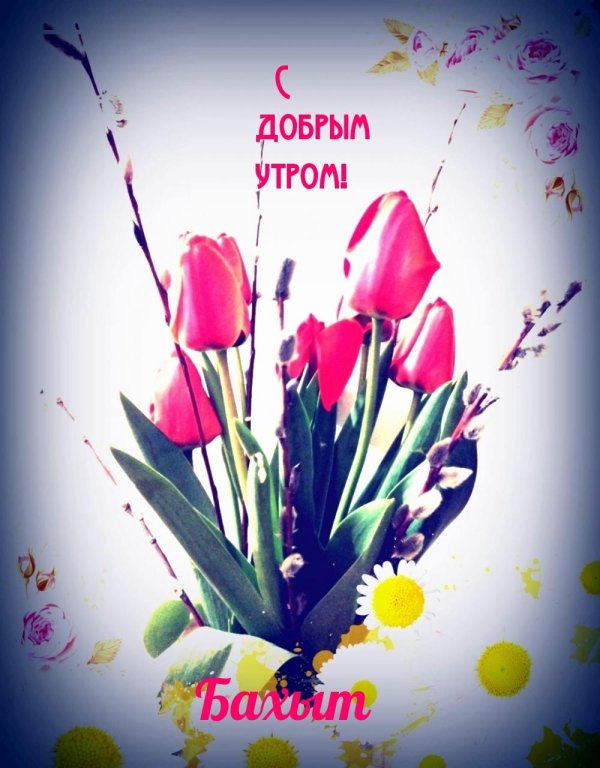доброе утро тюльпаны