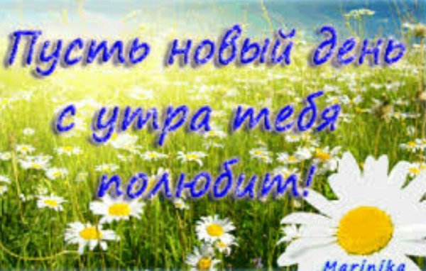 поздравление с добрым летним утром