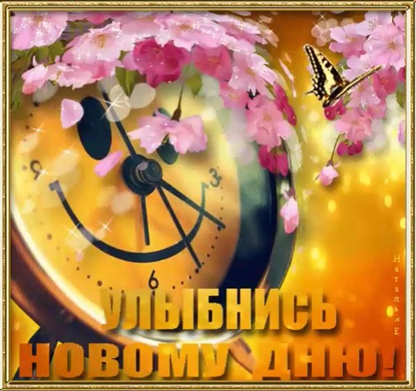 улыбнись новому дню