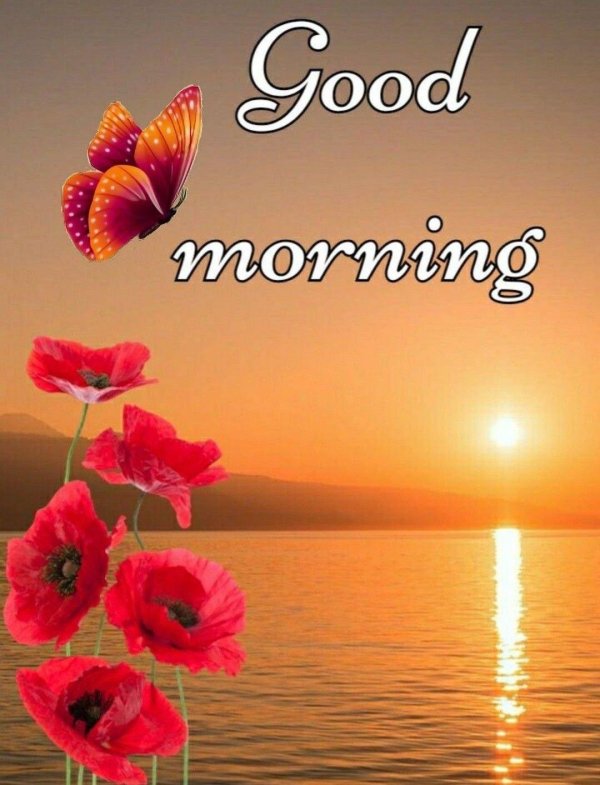 happy sunday good morning