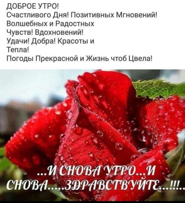 и снова утро и снова здравствуйте