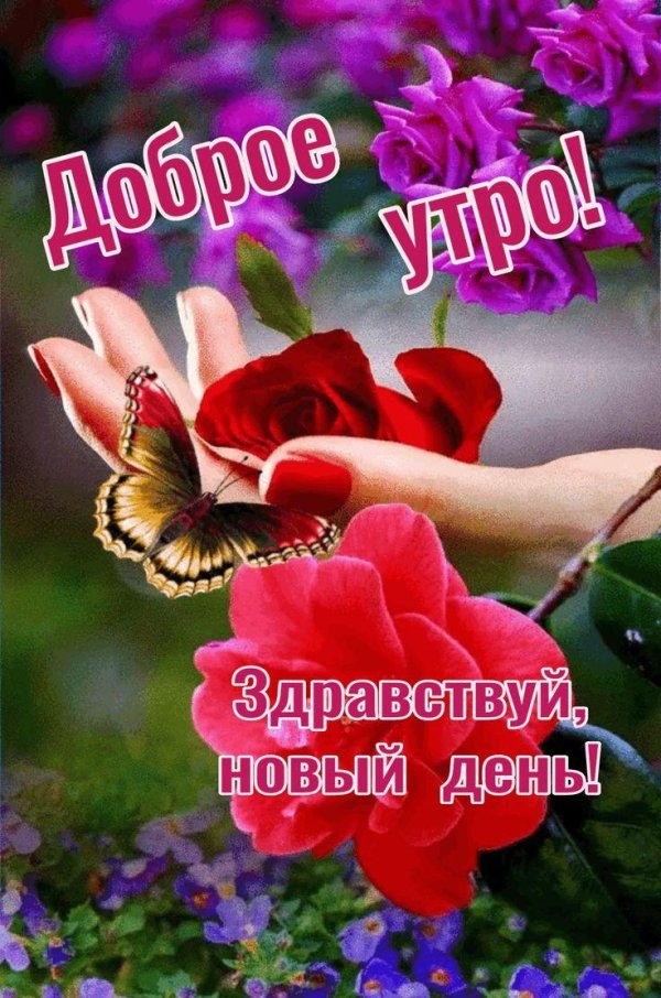 добра утра
