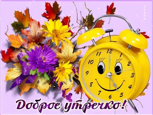 доброе утро здравствуй новый день