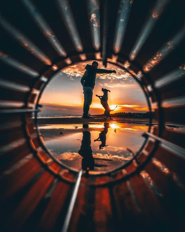 необычные отражения