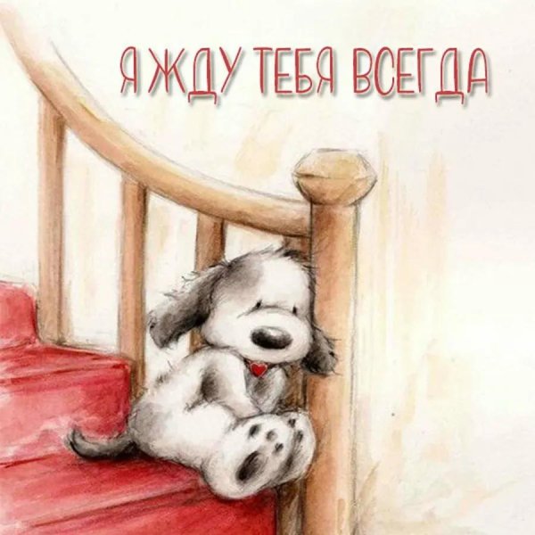 я соскучилась по тебе мужчине