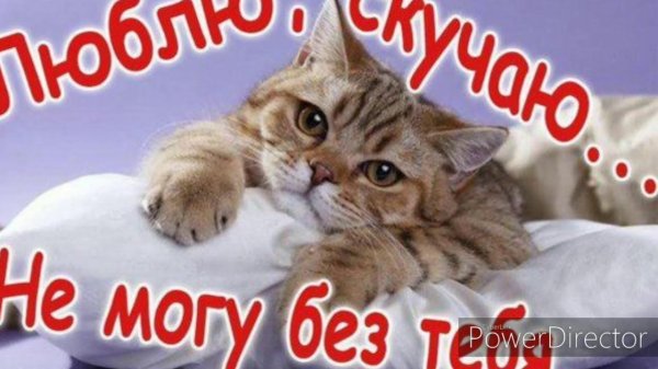 открытка любимому