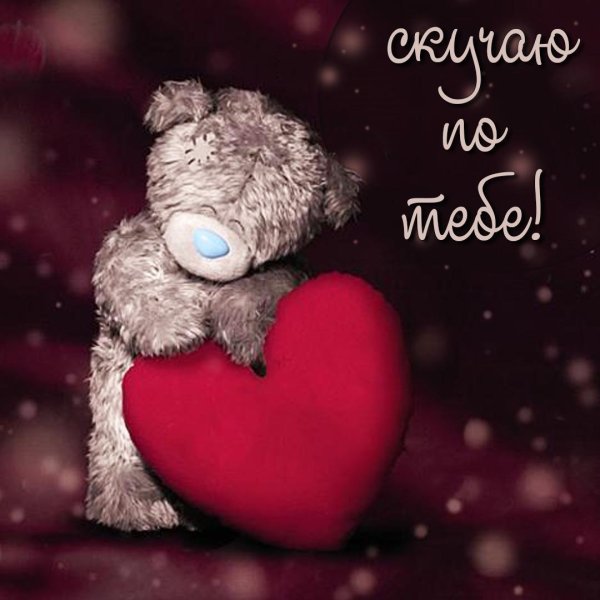 мишка тедди