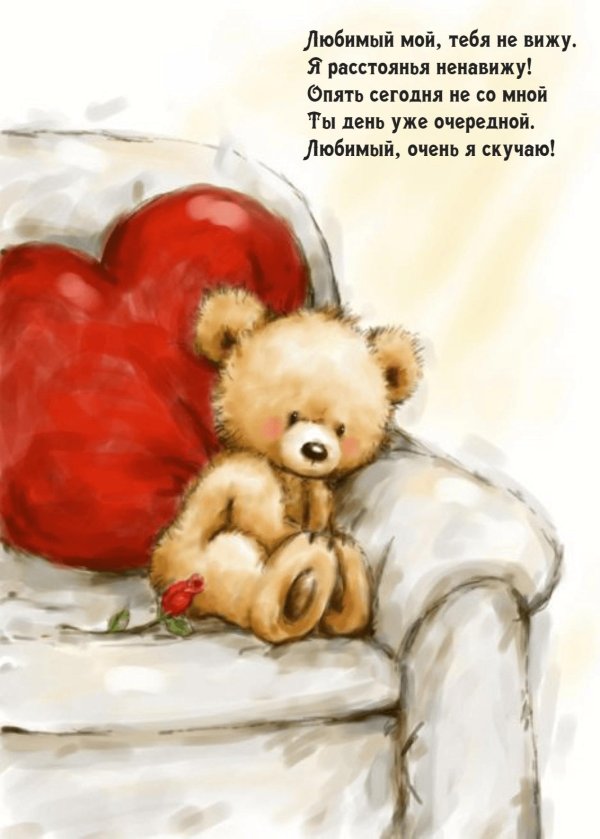 любимый медвежонок