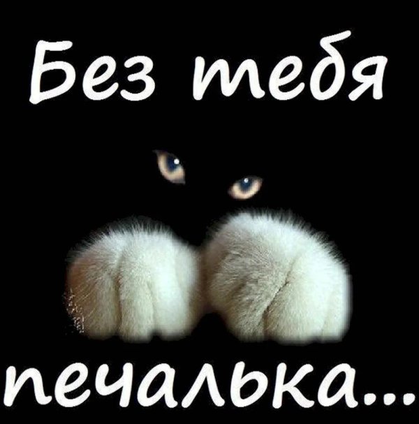 без тебя печалька