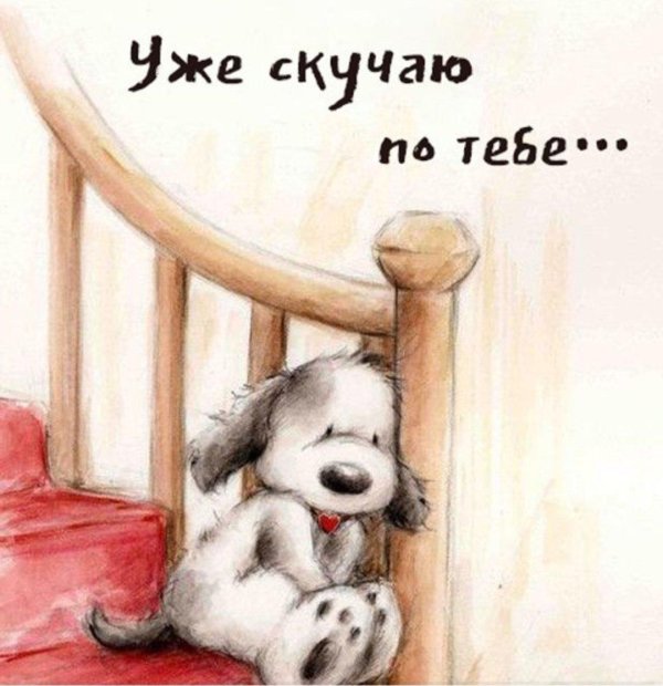 я соскучилась по тебе мужчине