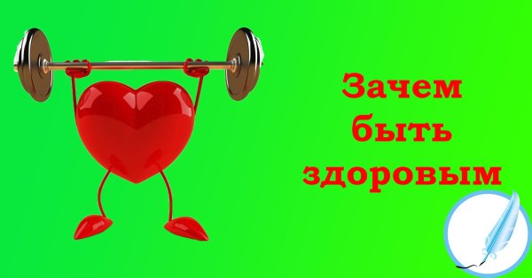 здоровое сердце