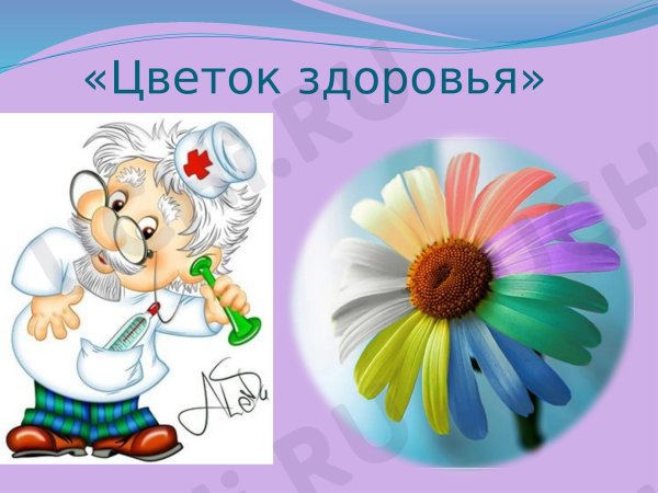 цветок здоровья