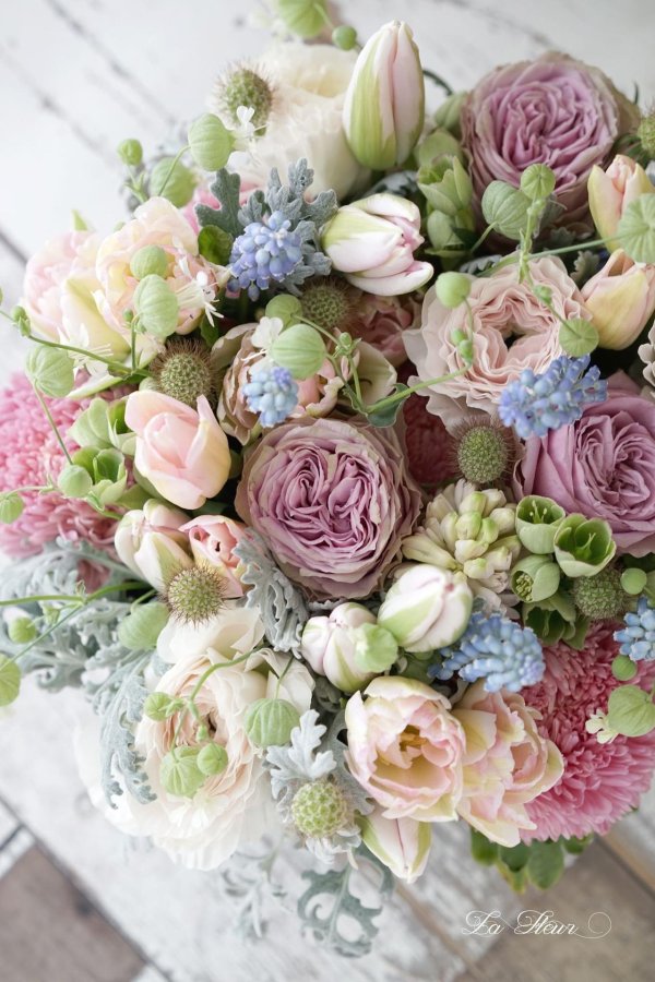 цветочная лавка латирус