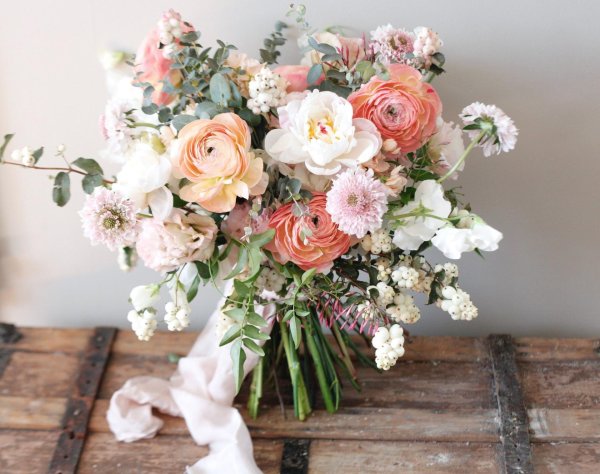 ранункулюс пикоти