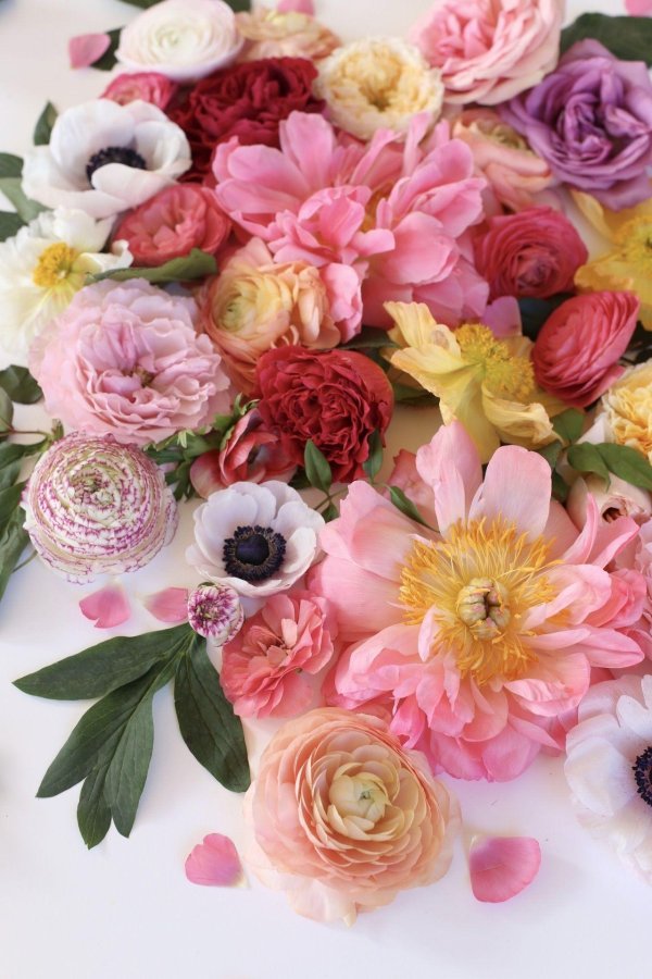 цветок ранункулюс