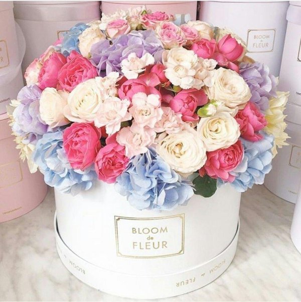 цветы в коробке