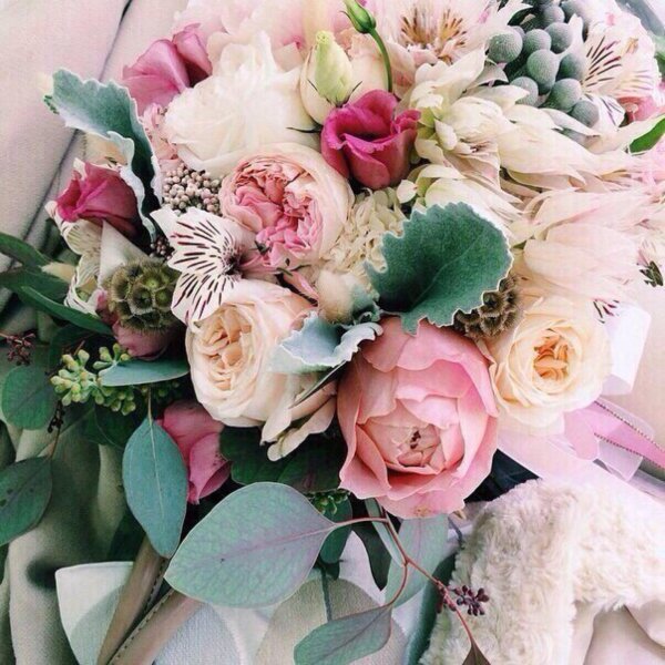 стильные цветы