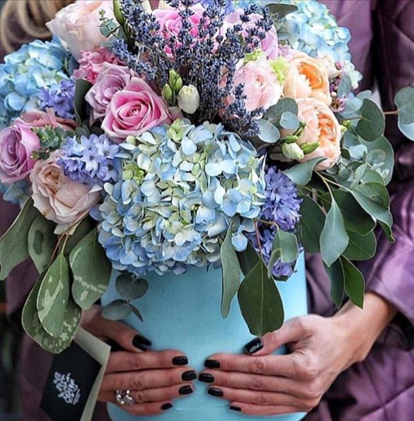 гортензия бриггс