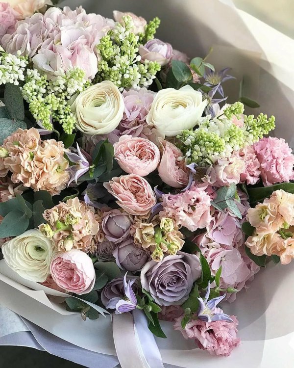 ранункулюс баттерфляй